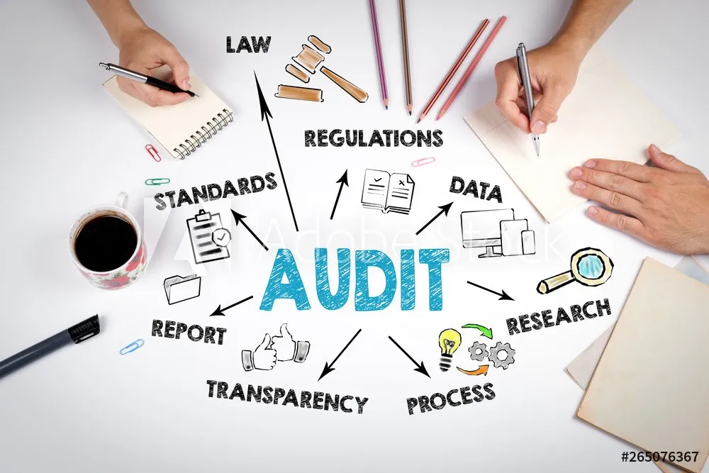 Các bước thực hiện Audit Vendor