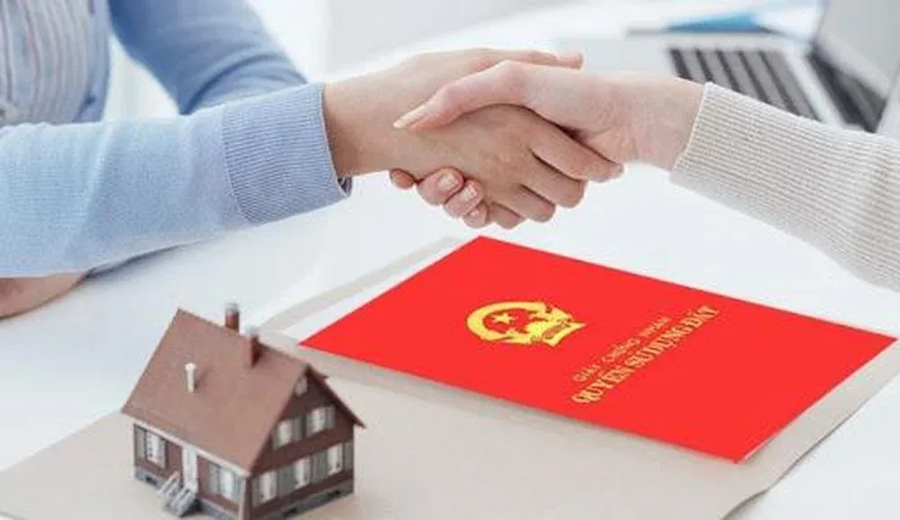 Các lưu ý quan trọng khi nhận chuyển nhượng quyền sử dụng đất năm 2024 Các lưu ý quan trọng khi nhận chuyển nhượng quyền sử dụng đất năm 2024