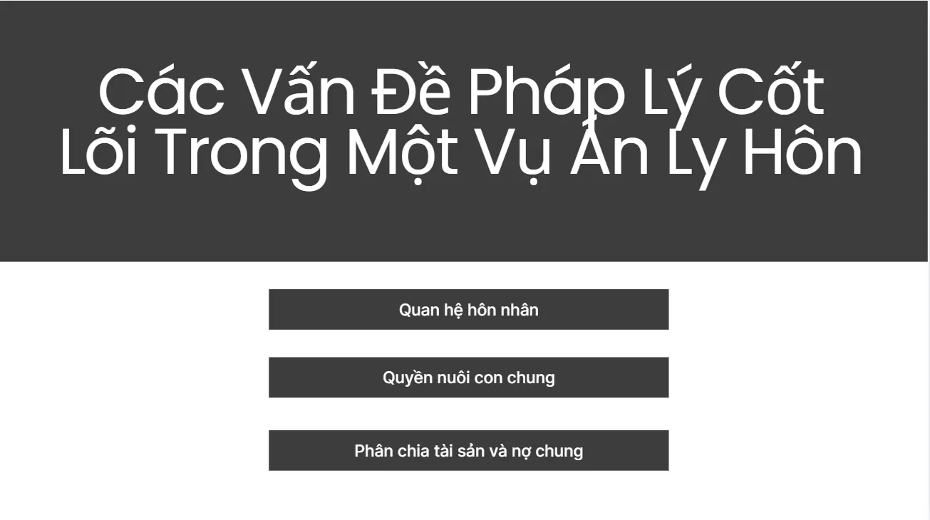 cac-van-de-phap-ly-trong-mot-vu-an-ly-hon