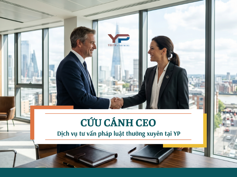 Cứu Cánh CEO: Dịch vụ tư vấn pháp luật thường xuyên tại Y&P