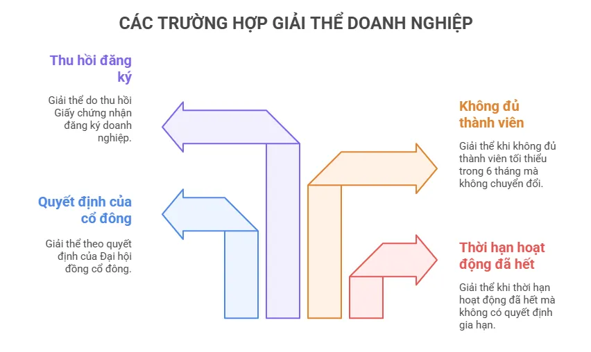 Dịch vụ giải thể doanh nghiệp tư vấn về trường hợp giải thể