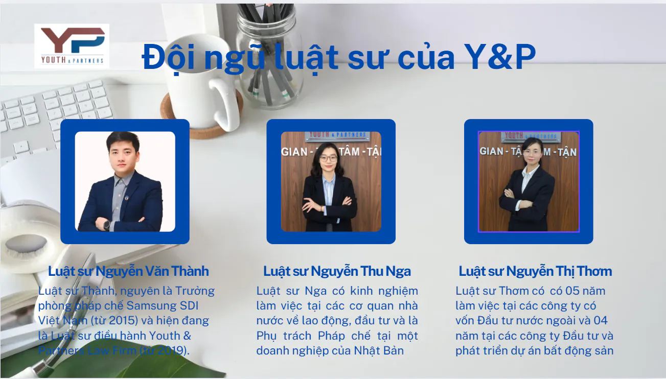 Đội ngũ luật sư của YP
