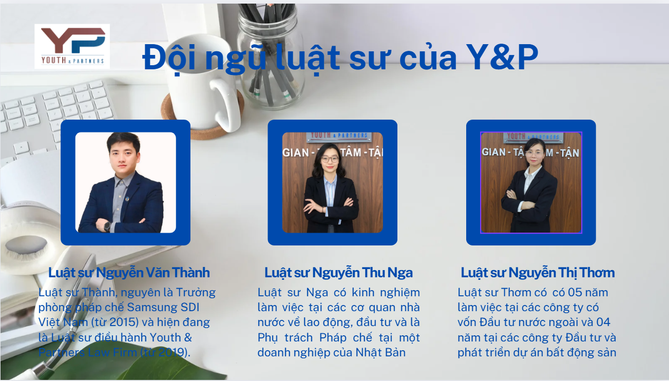 Đội ngũ luật sư của YP