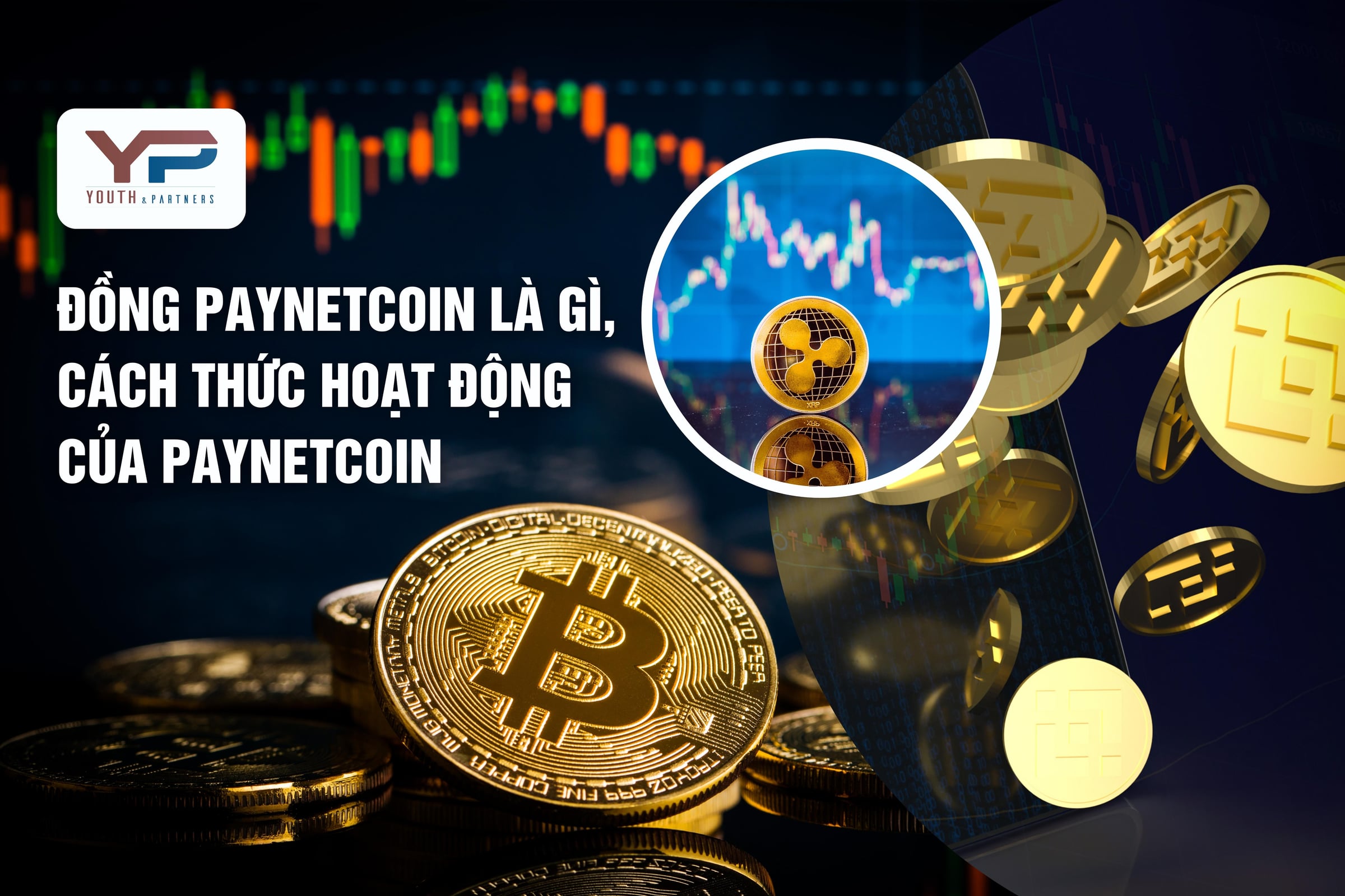 Đồng PaynetCoin là gì, cách thức hoạt động của PaynetCoin