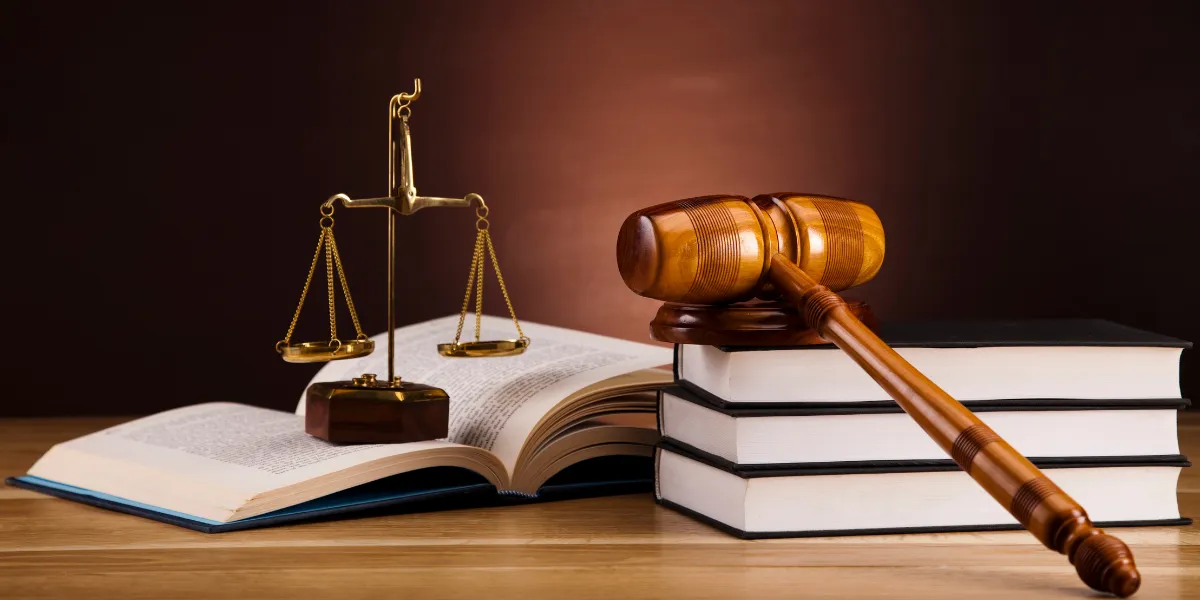 Khung Pháp Lý Tại Việt Nam: Sự Phát Triển Và Những Vùng Mờ Lập Pháp Khung Pháp Lý Tại Việt Nam: Sự Phát Triển Và Những Vùng Mờ Lập Pháp