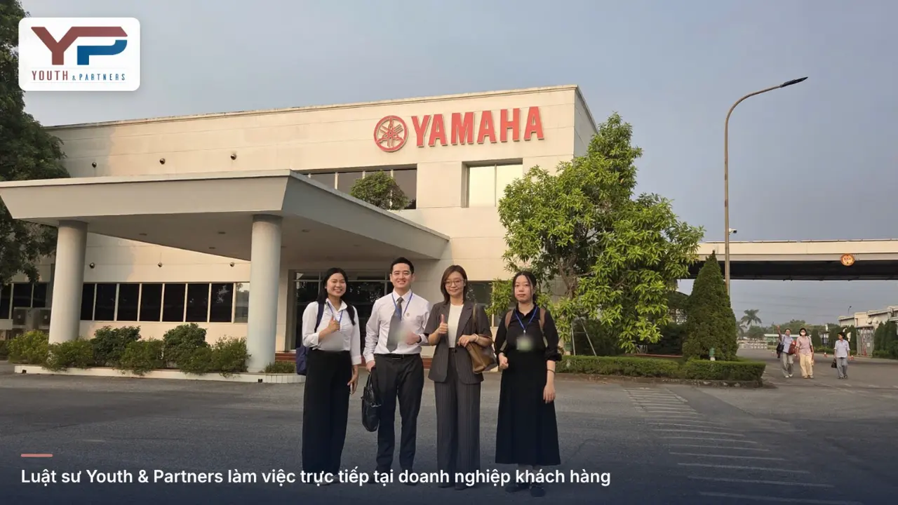 Luật sư Y&P làm việc trực tiếp tại doanh nghiệp Luật sư Y&P làm việc trực tiếp tại doanh nghiệp