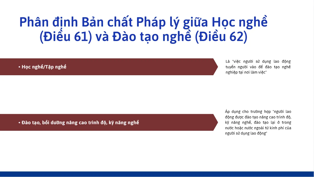 phân định bản chất pháp lý giữa học nghề và đào tạo nghề phan-dinh-ban-chat-phap-ly-giua-hoc-nghe-va-dao-tao-nghe