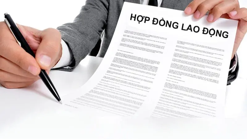 Pháp chế thuê ngoài quản trị rủi ro hợp đồng lao động Pháp chế thuê ngoài quản trị rủi ro hợp đồng lao động