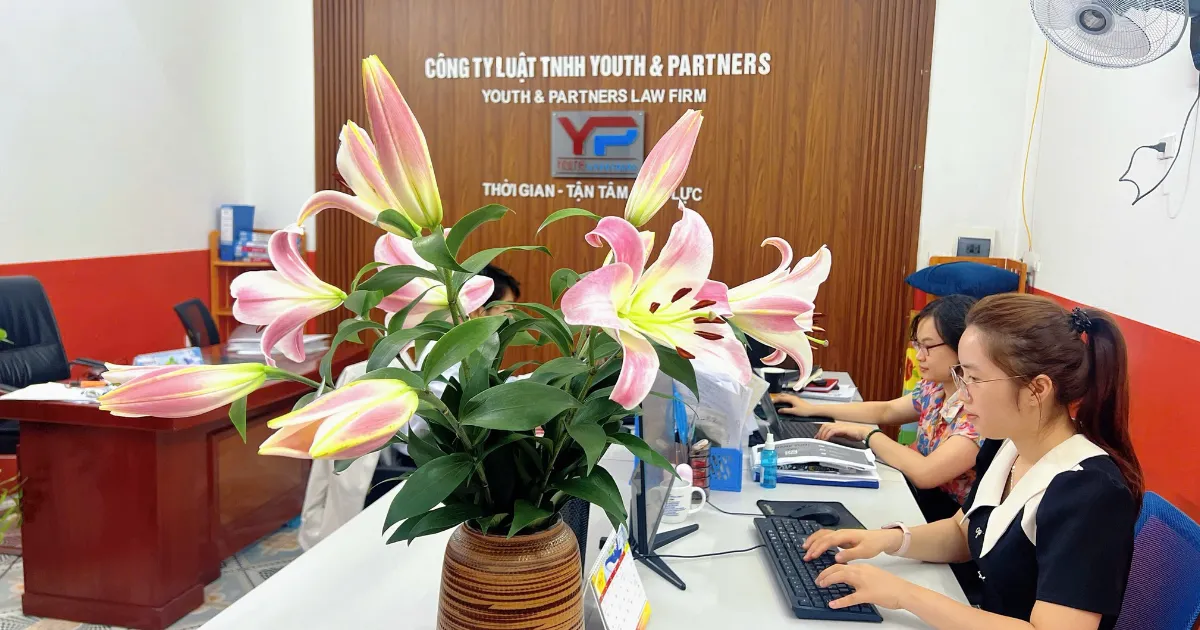 Phòng tư vấn pháp luật thường xuyên của Y&P