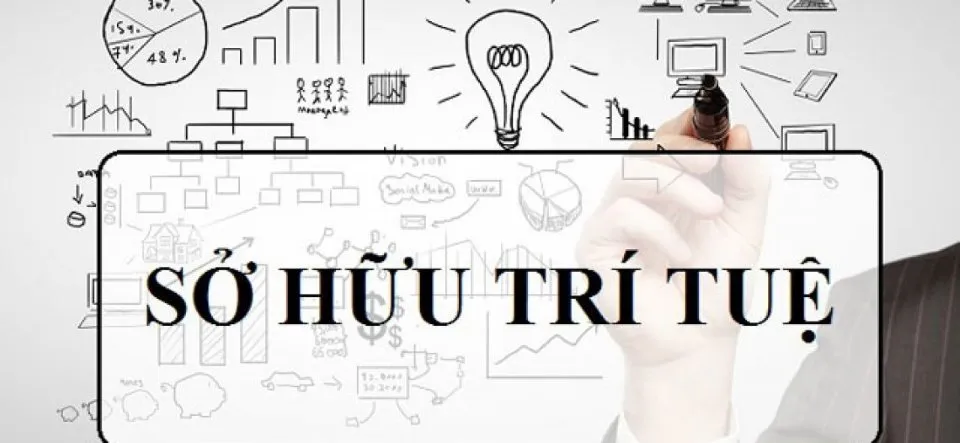 Rủi ro về quyền sở hữu trí tuệ khi thiếu pháp chế thuê ngoài Rủi ro về quyền sở hữu trí tuệ khi thiếu pháp chế thuê ngoài