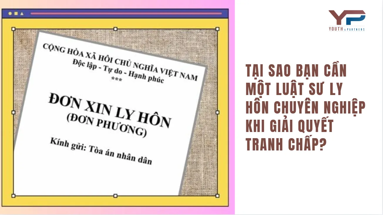 tai-sao-can-mot-luat-su-ly-hon-chuyen-nghiep-khi-giai-quyet-tranh-chap