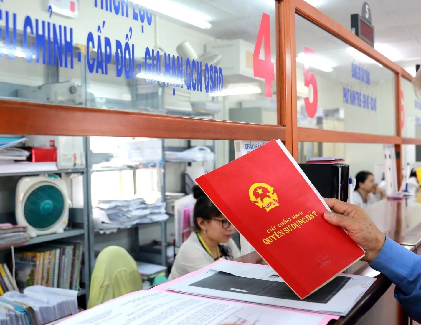 vai-tro-cua-luat-su-tu-van-dat-dai-tai-Hai-Phong