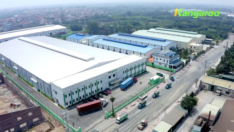 Y&P tư vấn pháp luật thường xuyên cho Kangaroo